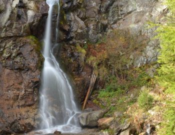 498657748_3080174318812967_8654340555532175680_n