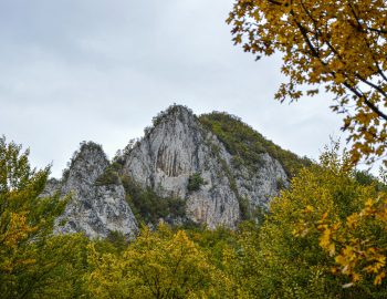 558652899_24765053606436402_2400261731290115017_n