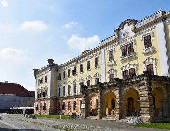 623357b695338_1647531958