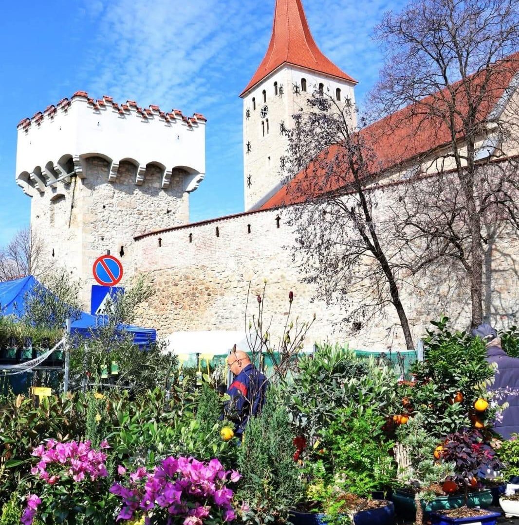 WhatsApp-Image-2025-11-17-at-15.24.40-2