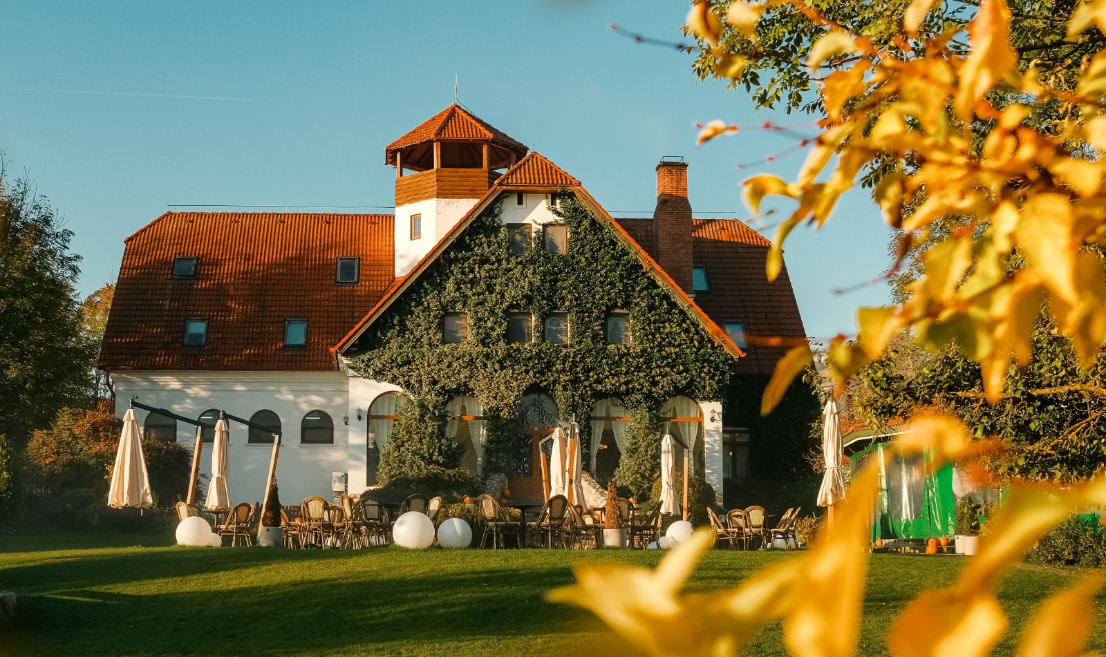 WhatsApp-Image-2026-01-13-at-11.26.35