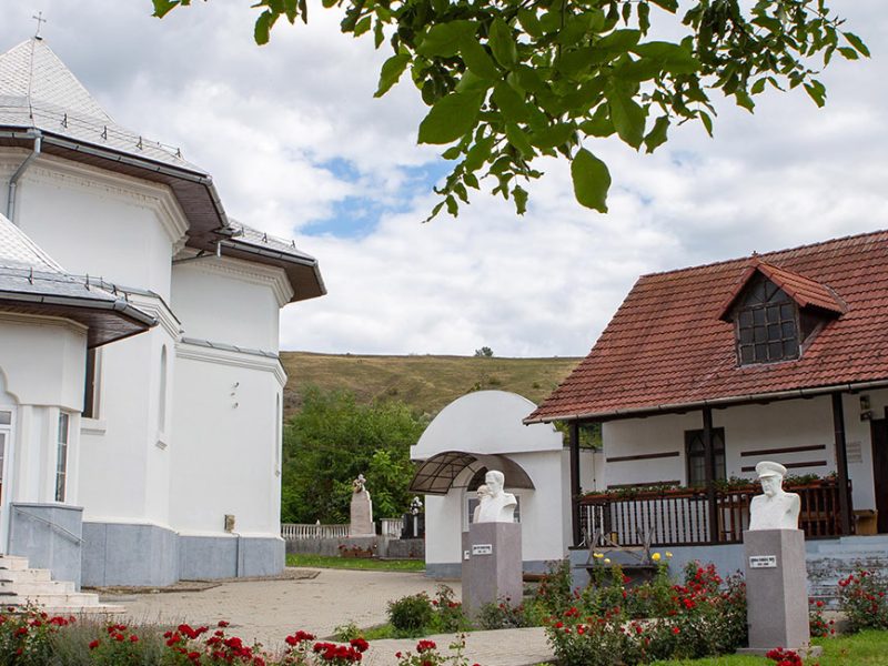 01_banner-pag-detaliu_bucerdea-vinoasa