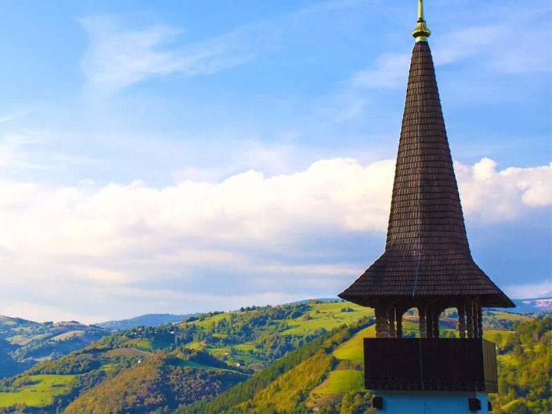 14322672_1203654896347123_617846970191299702_n