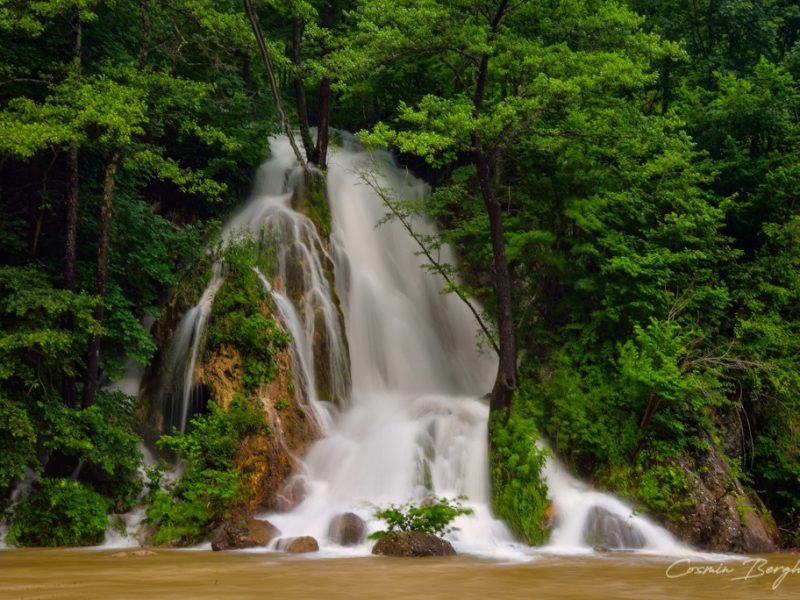 17492887_1454564804565322_1299781265147962444_o