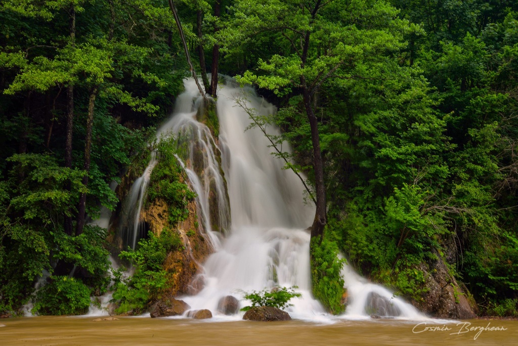 17492887_1454564804565322_1299781265147962444_o