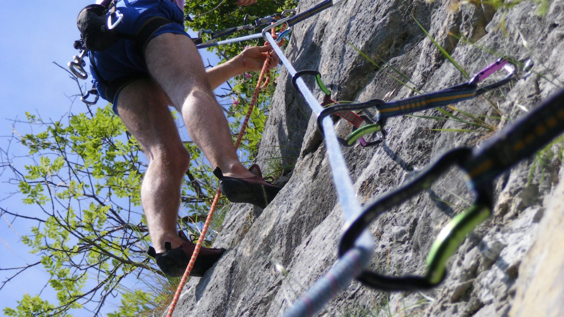 2007_0617Cib_17_06_20070029