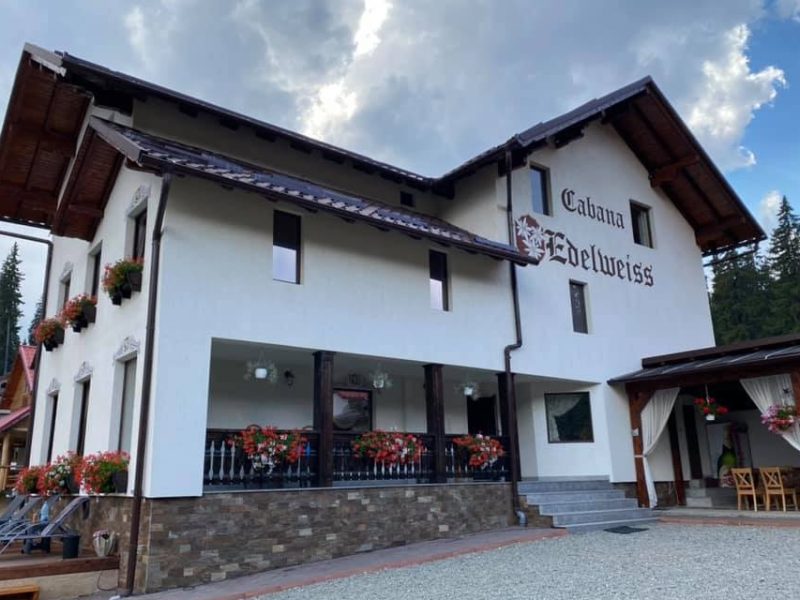 204033350_294713868788481_8949334503360745993_n