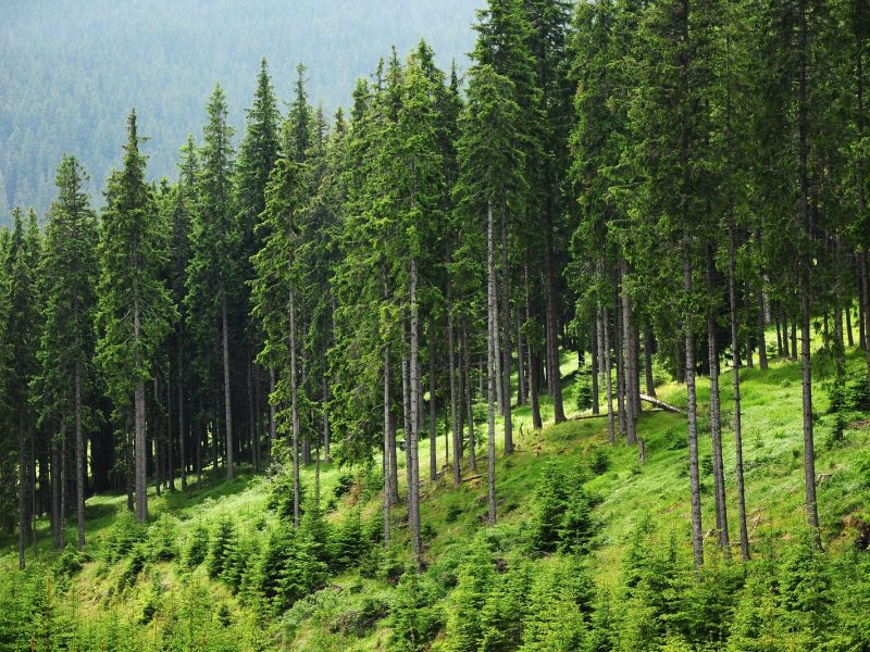 471396499_4144191889192372_5309323024328969575_n-Copie