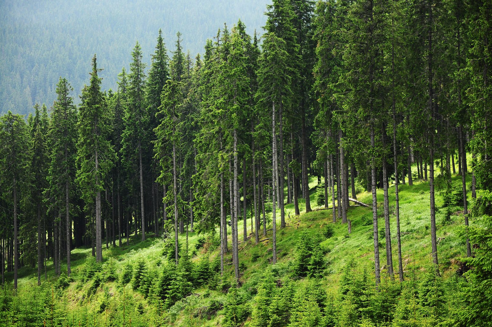 471396499_4144191889192372_5309323024328969575_n-Copie