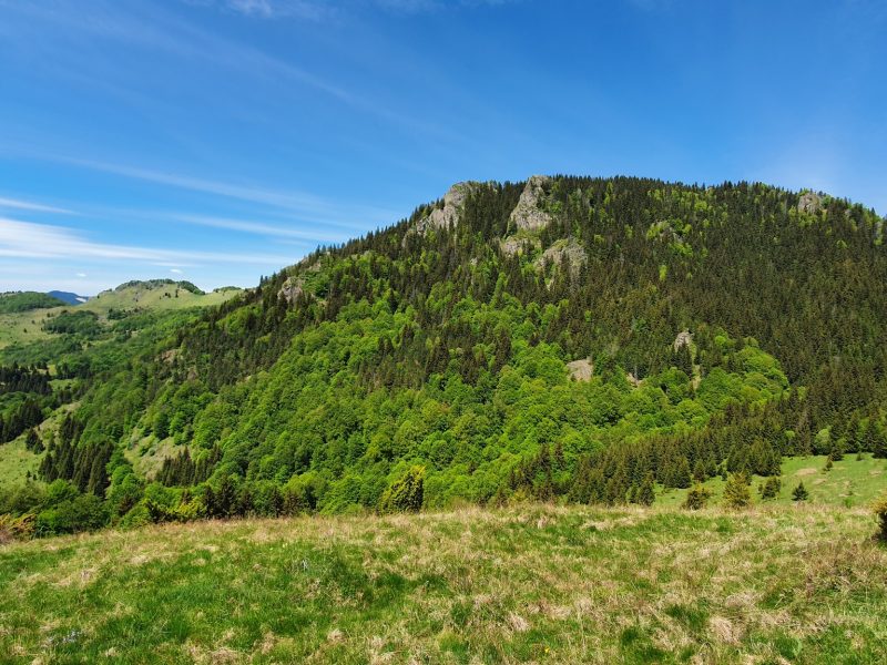 472685362_578196681786111_6016028262919690996_n