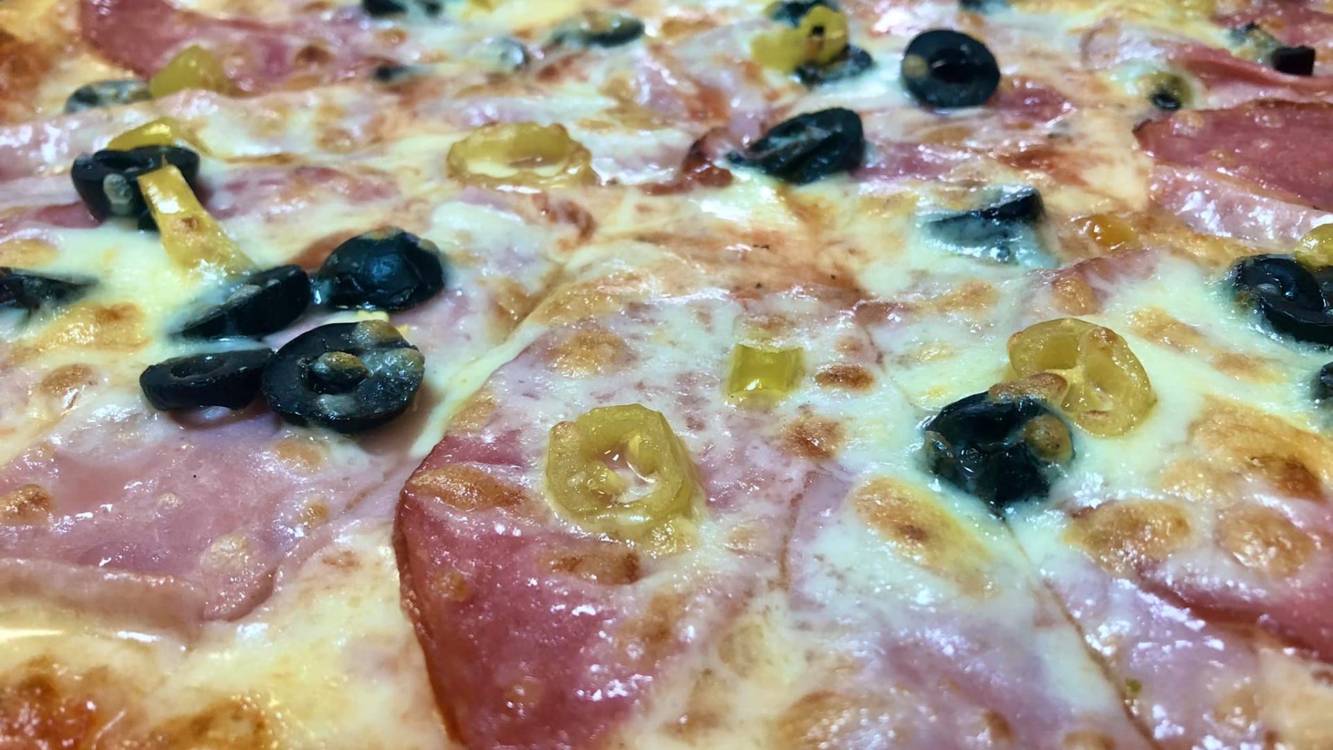 473813895_8479637242138598_5876485103585483779_n