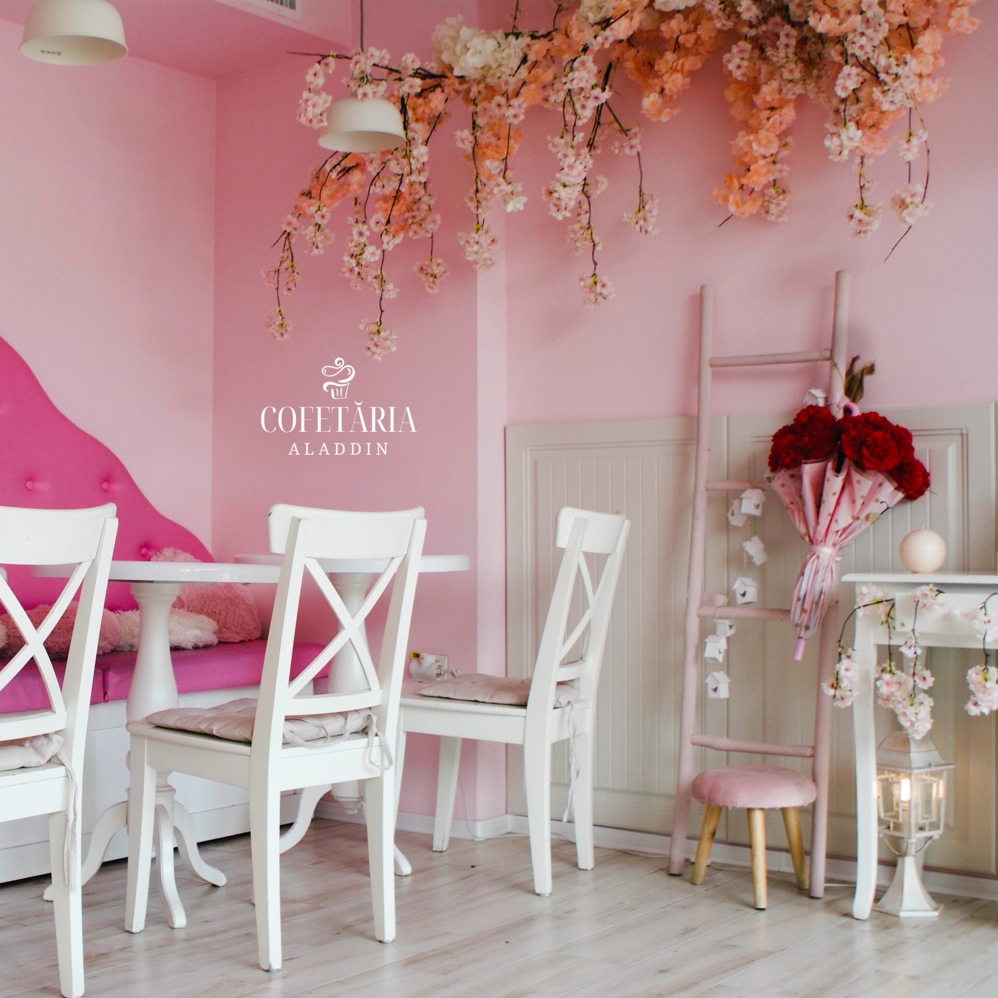 475815290_1135254768299160_6594573437689994246_n