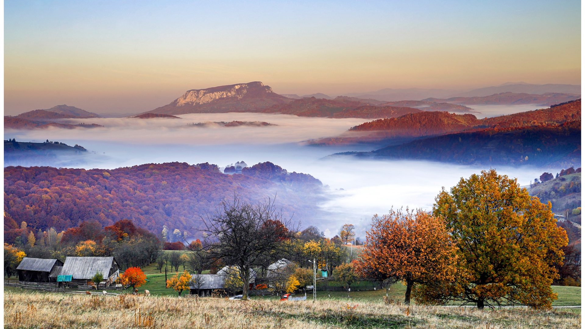 480646257_606751282263984_2288434776636947910_n