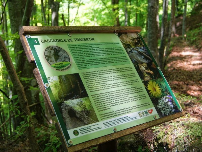 480942459_1031360445683707_1081157903628234989_n