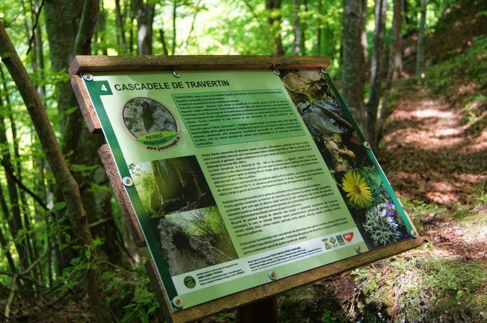 480942459_1031360445683707_1081157903628234989_n