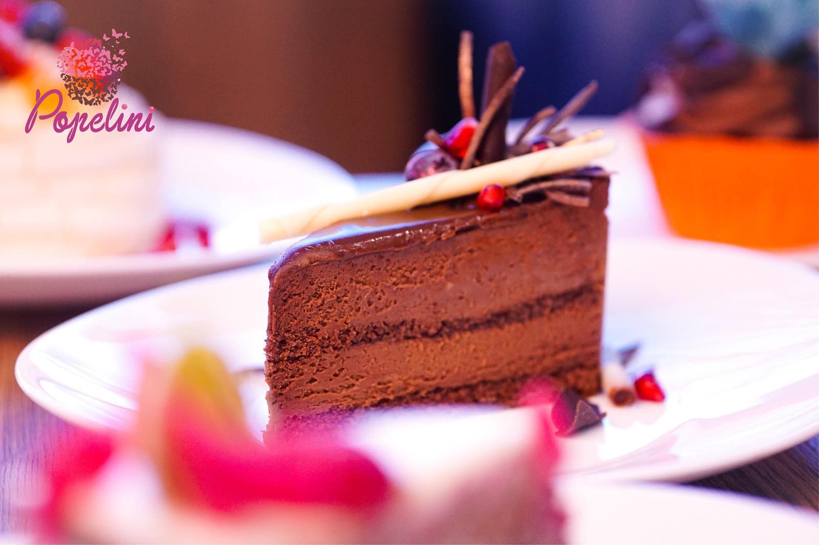 484039531_9968221036544032_5673032668294934611_n