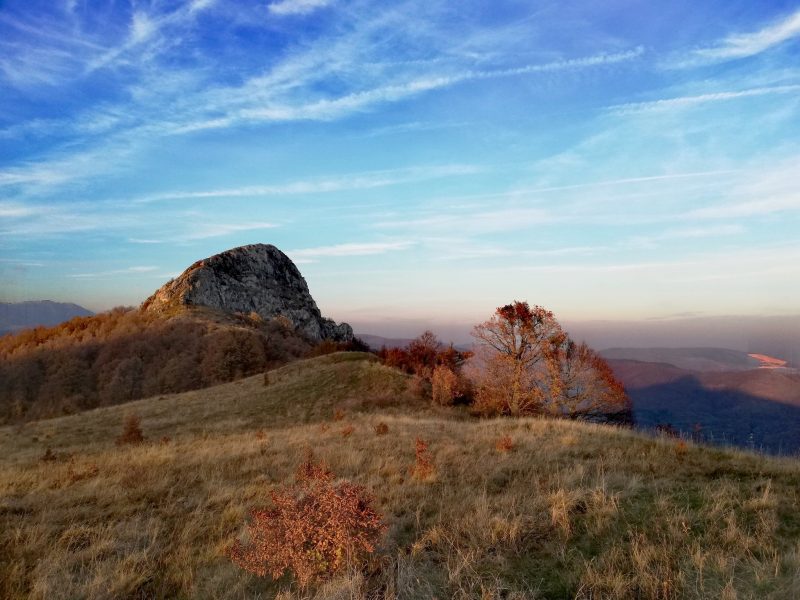 484417859_4077388519157291_6871267069404641331_n