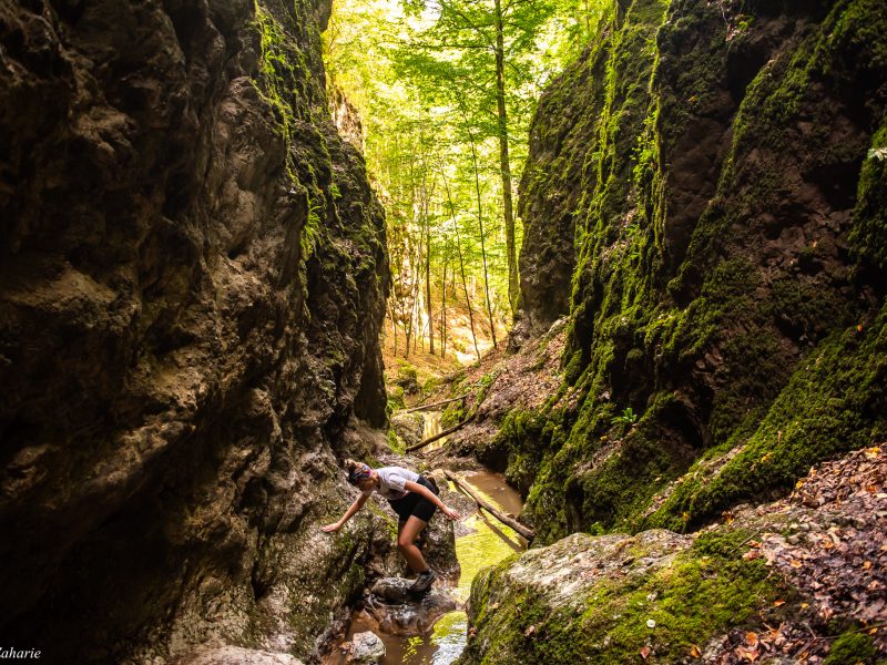 484535283_957396516587710_6750633828718200827_n