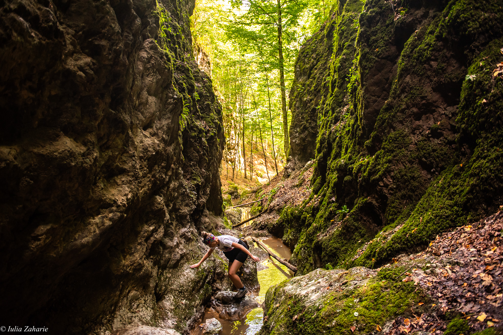 484535283_957396516587710_6750633828718200827_n