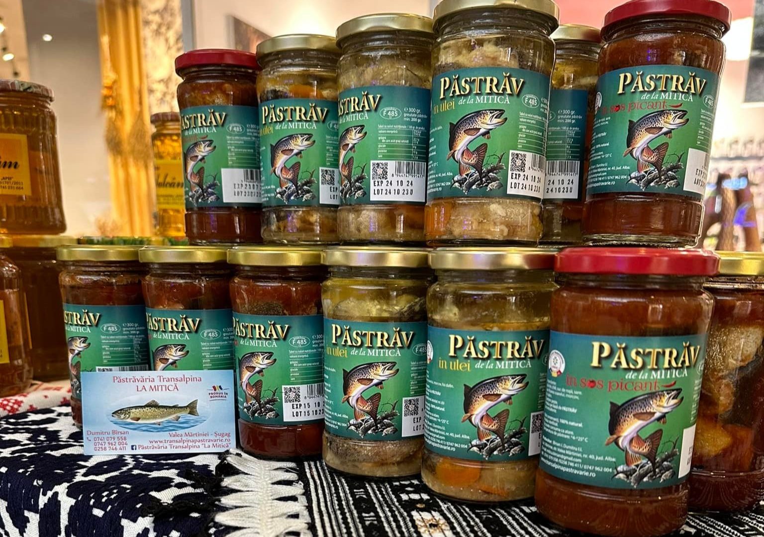 486015224_1189582032952974_4753907586238210971_n