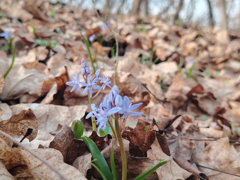 488924935_1046476040860309_1511071980743159748_n