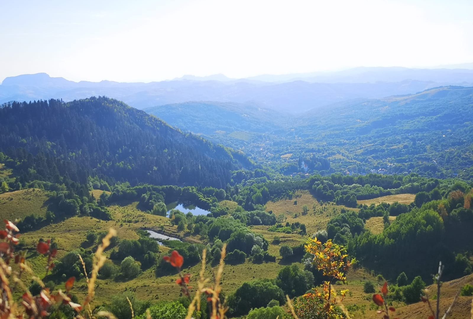 489691526_9827757207337232_6566516446511530884_n