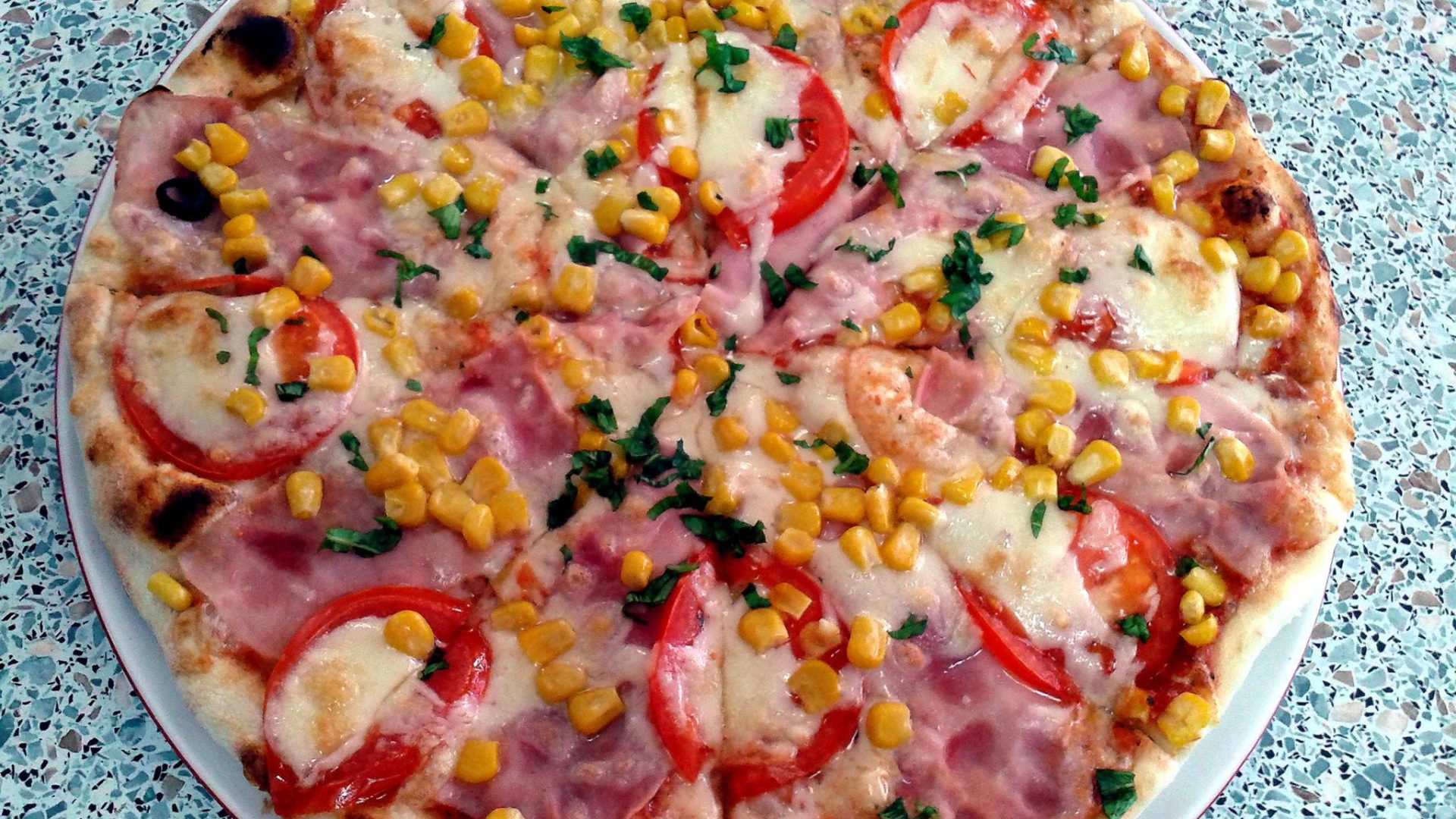 492401649_9030095537092763_635478820026647004_n