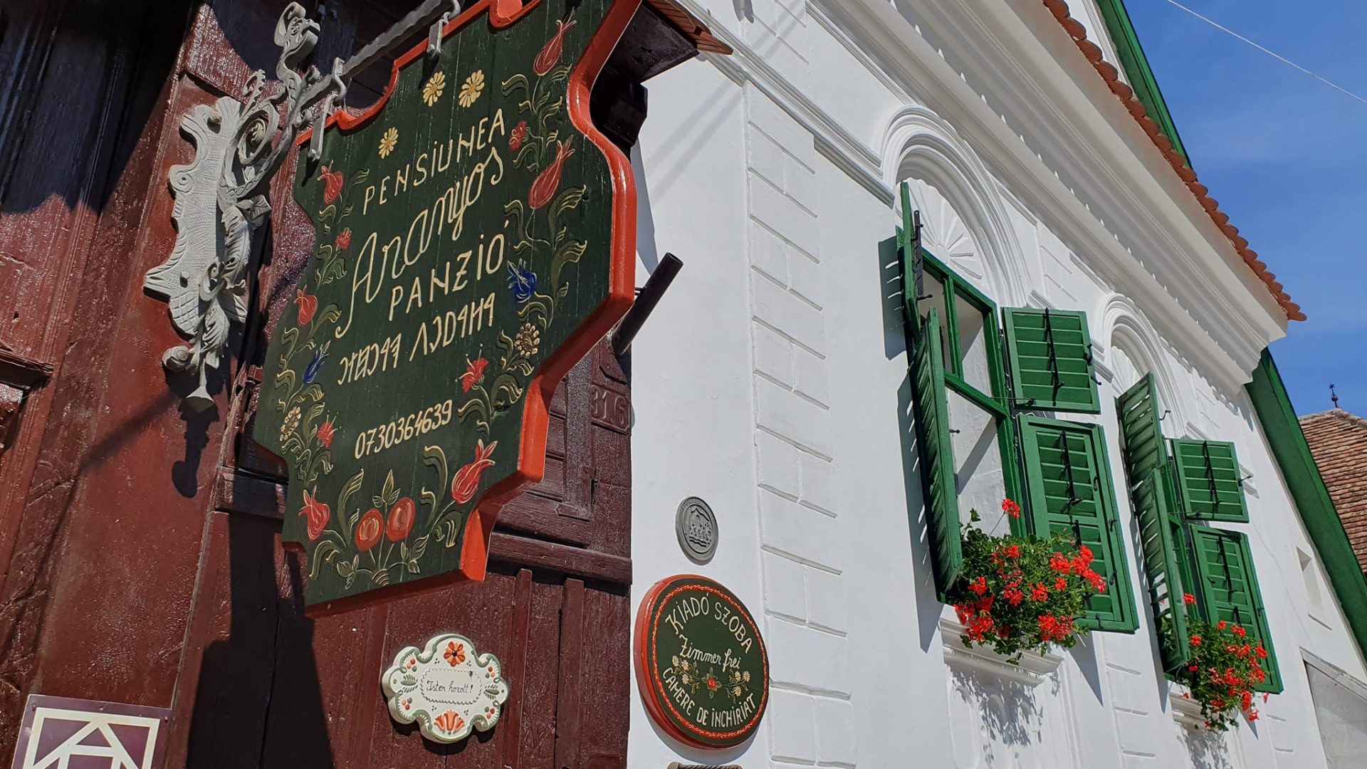 492556321_1237430238385214_2165020930260964880_n