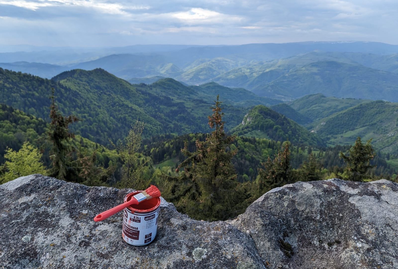 493593400_9799407990102142_7995150457188906454_n