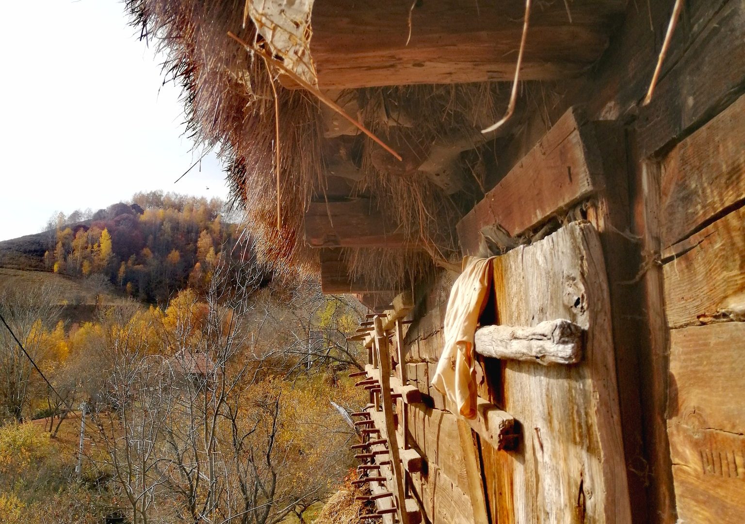 505319342_4163746350521507_4189737925665885825_n