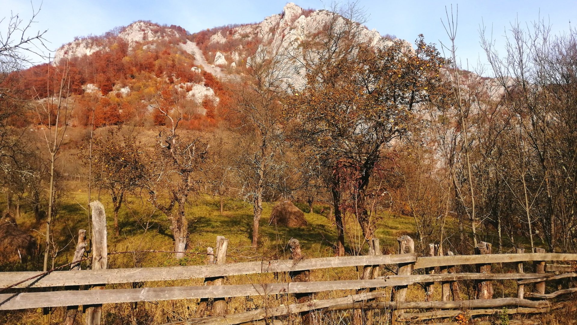 505400743_4163746383854837_2656526746691652005_n