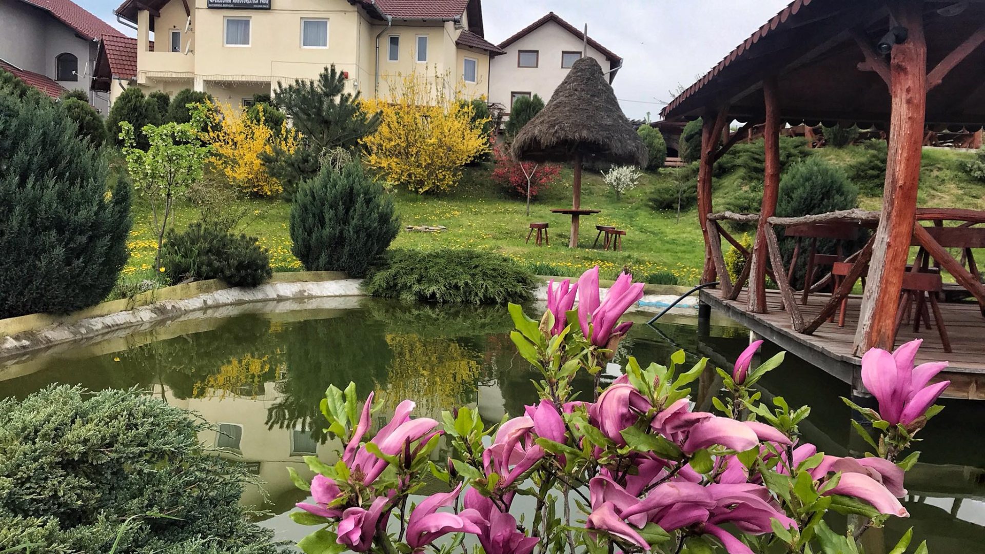 512689421_9748094045318192_414119193760005755_n