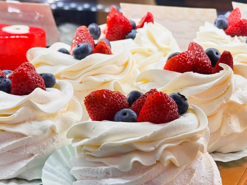 520512666_1270124634905437_462238565371590517_n