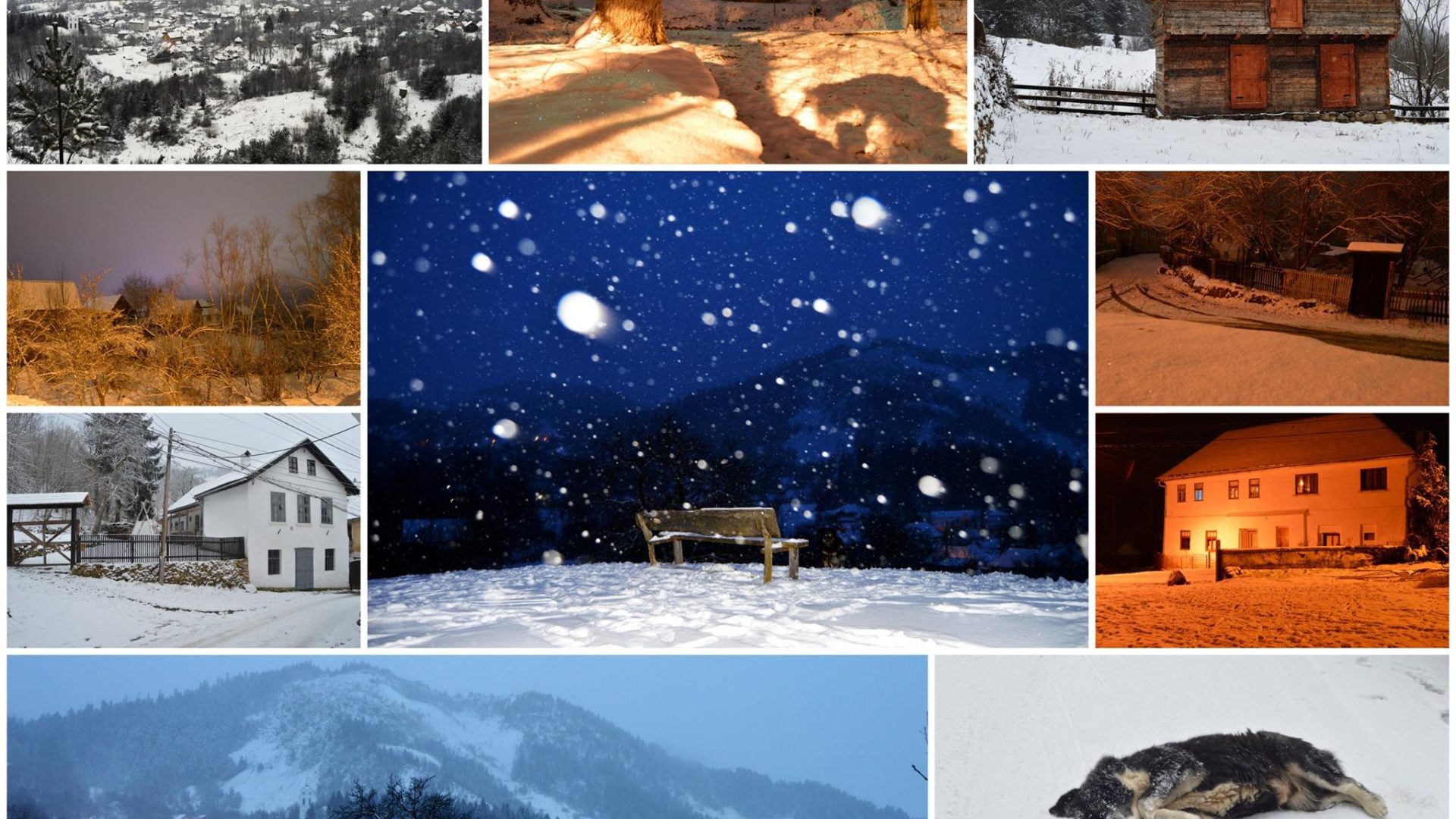 556083713_25557613107185047_124519912230693294_n