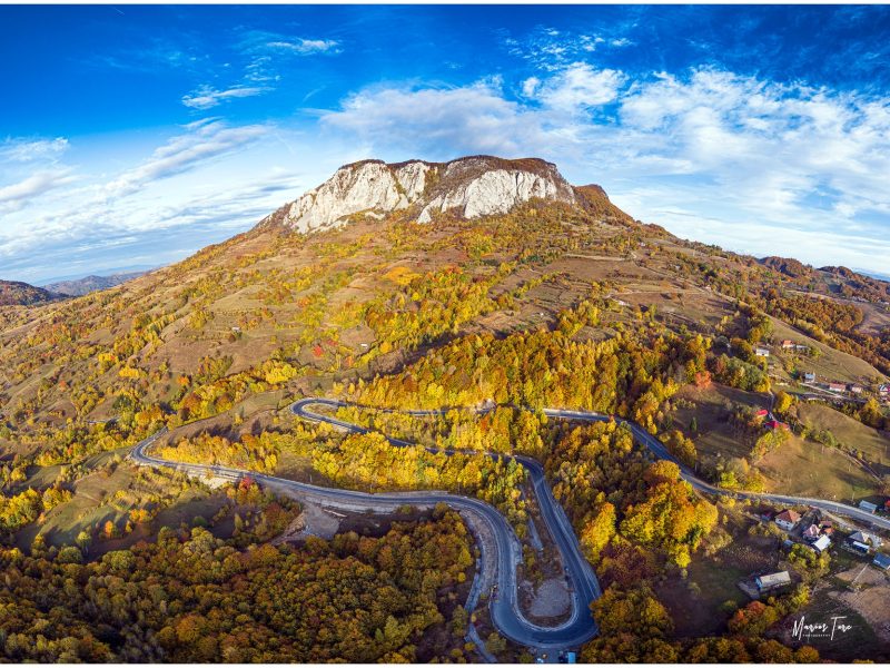 558201205_786568004282310_4841171654021967956_n