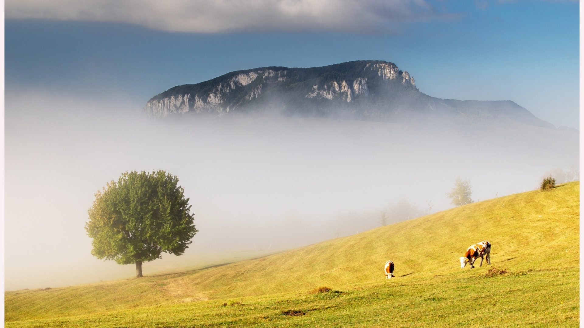 559746923_791108720494905_975686258647564906_n