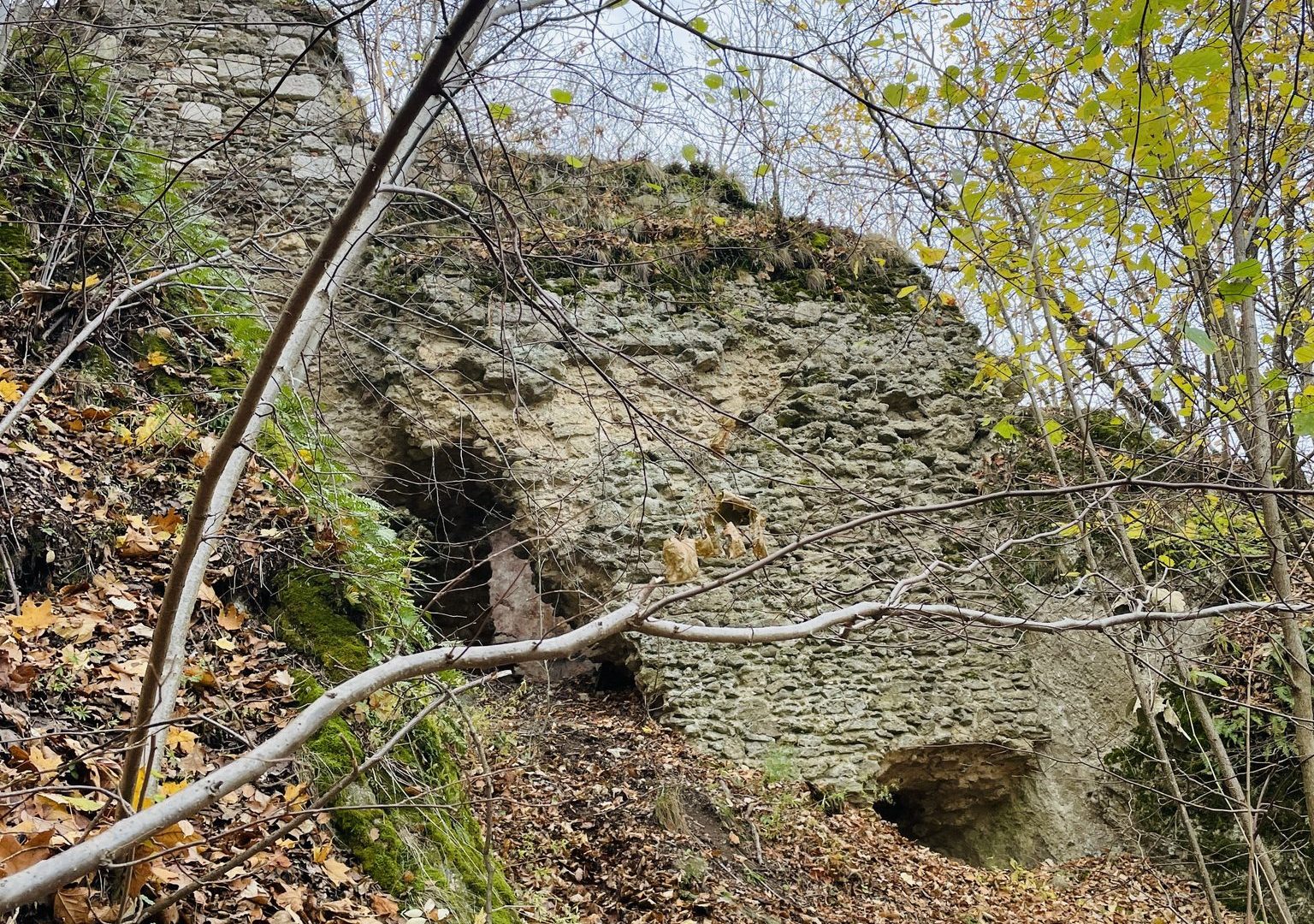 583093205_1135074508673340_4561386060964660237_n