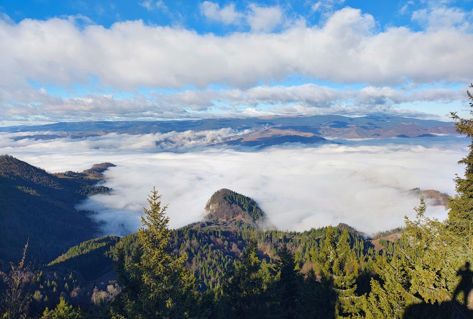 599099731_1273423068144685_6014210969854593255_n