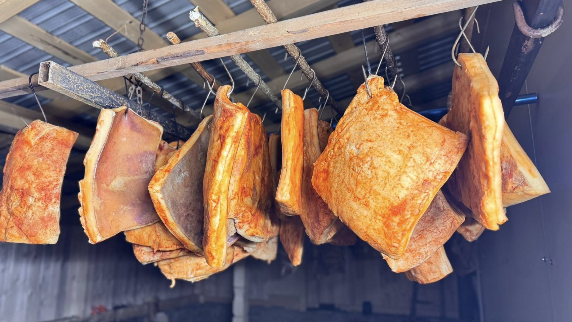 615816288_4582707295384345_7204577795688437208_n