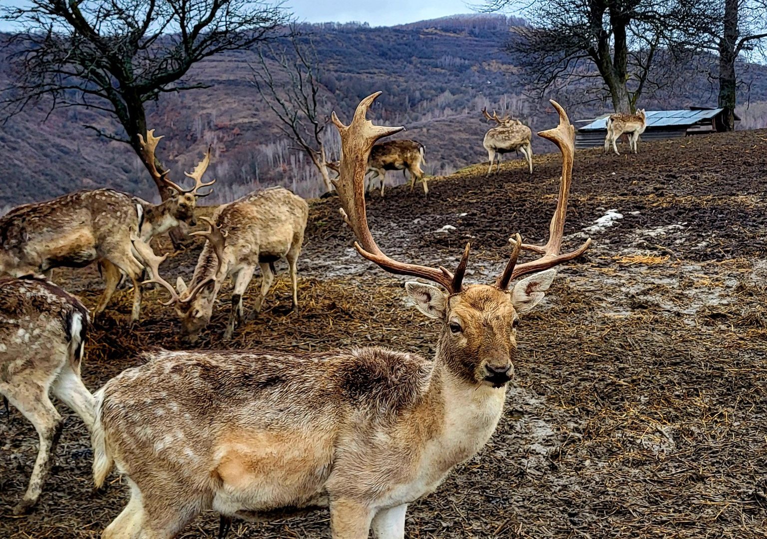 627100747_25923150247301326_574495915877105926_n