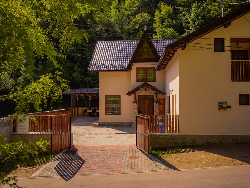 65154720_462507667859442_7510972102107725824_n