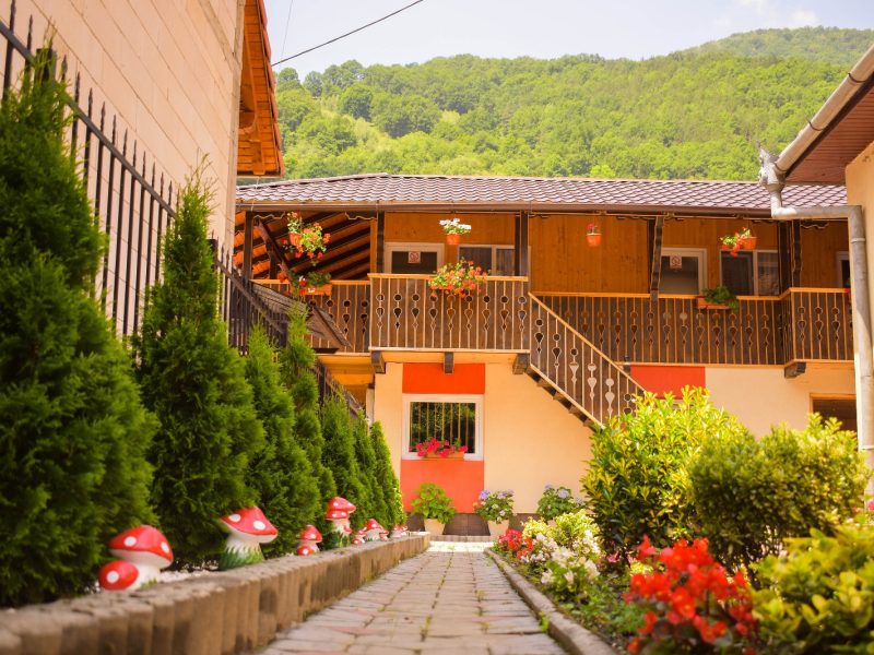 65243162_1079234788938842_767070868323958784_n