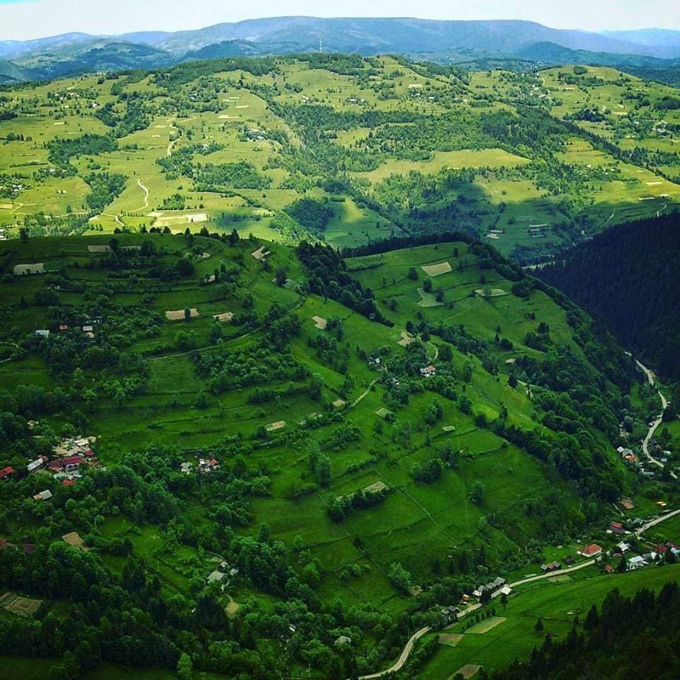 66425447_2394109184171509_918177524423327744_n