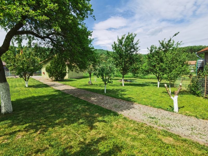 IMG_20220521_152223.jpg.7fd8c0cfad6789141a1ac0ad13877a81