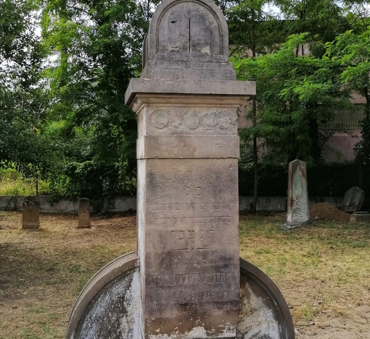 WhatsApp-Image-2021-08-03-at-17.29.39-1