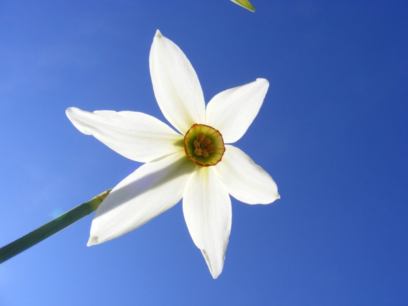 WhatsApp-Image-2026-02-10-at-09.38.421