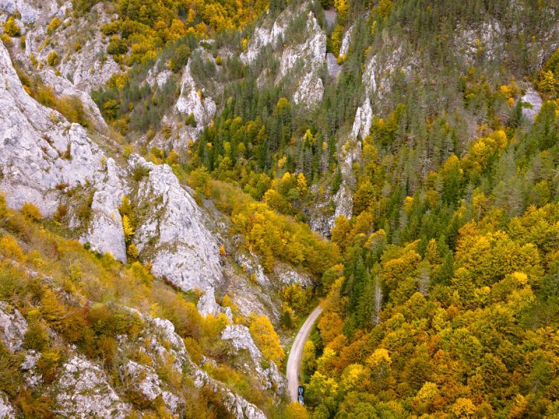 WhatsApp-Image-2026-02-18-at-11.46.02