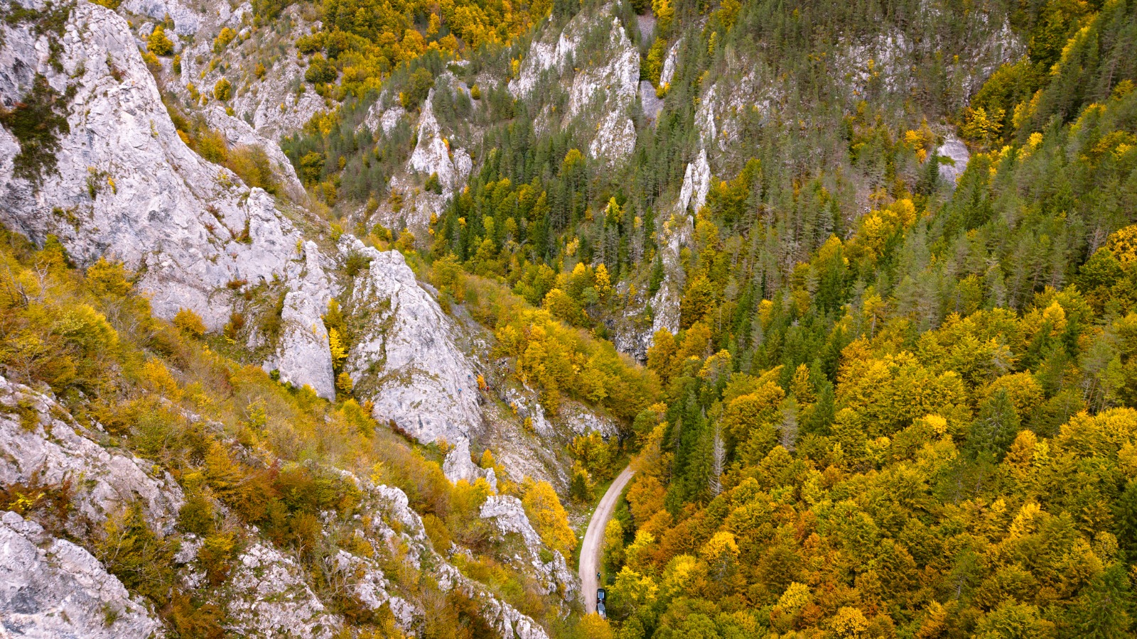 WhatsApp-Image-2026-02-18-at-11.46.02