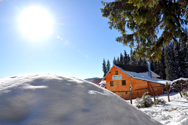 cabana-ana-simona-home5