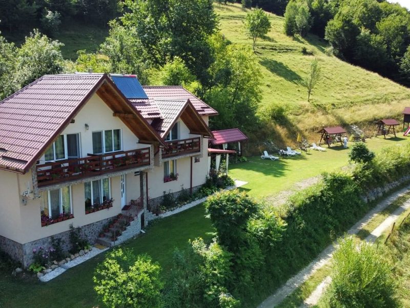 facebook_1770807936338_7427306810616195378